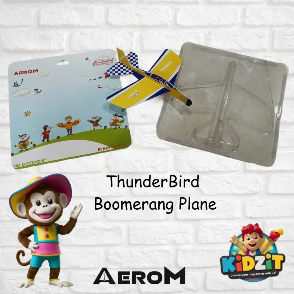 Thunderbird Boomerang Plane